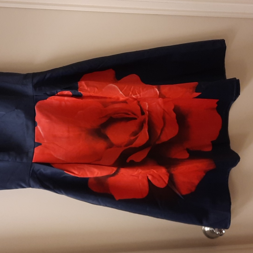 NWT, Frock Shop by Modcloth Satin Rose Dress - Picture 3 of 12